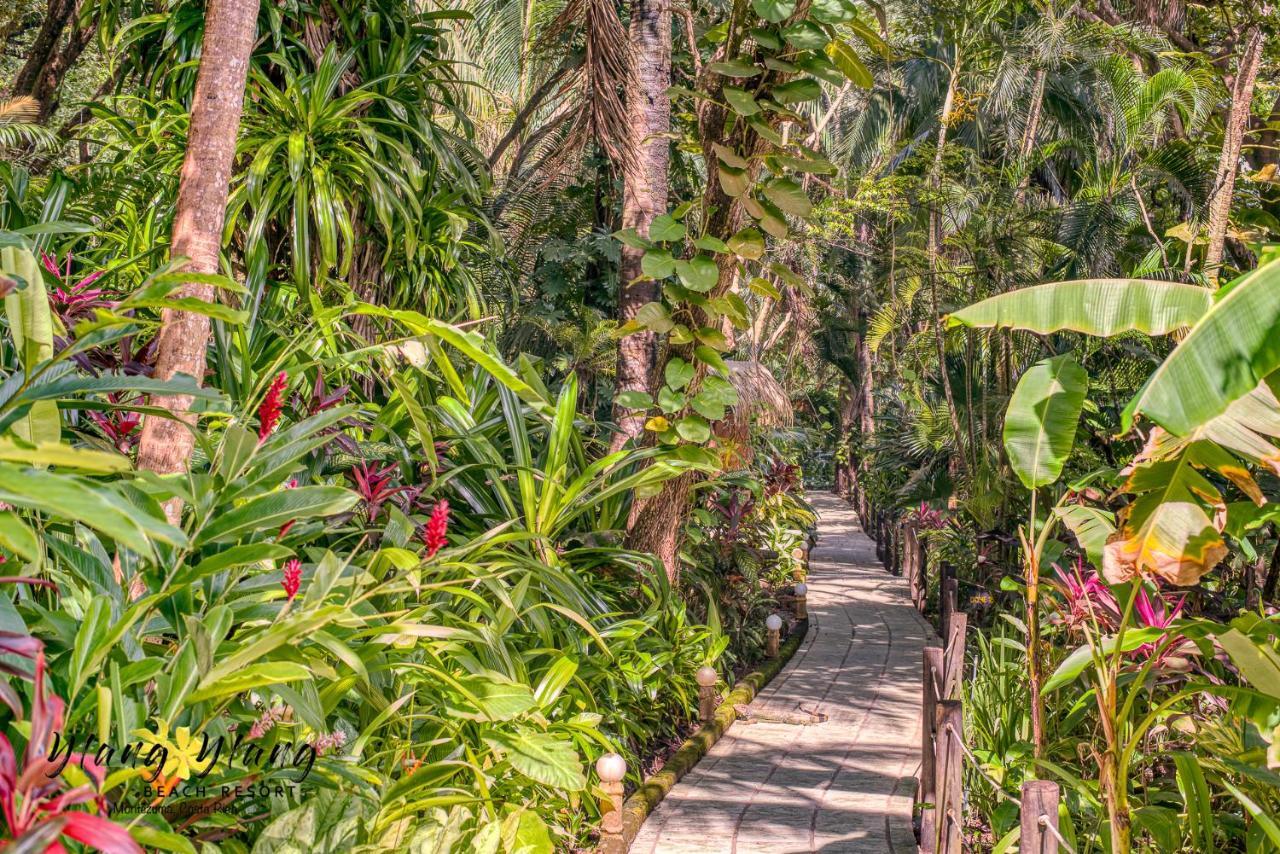 Ylang Ylang Beach Resort Montezuma Exterior photo